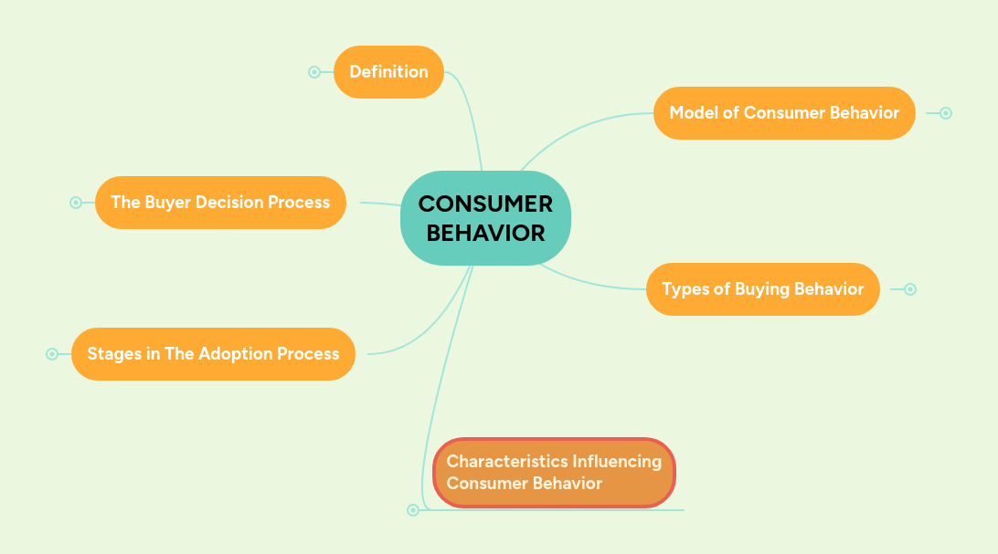 Consumer Behavior Mindmeister Mind Map