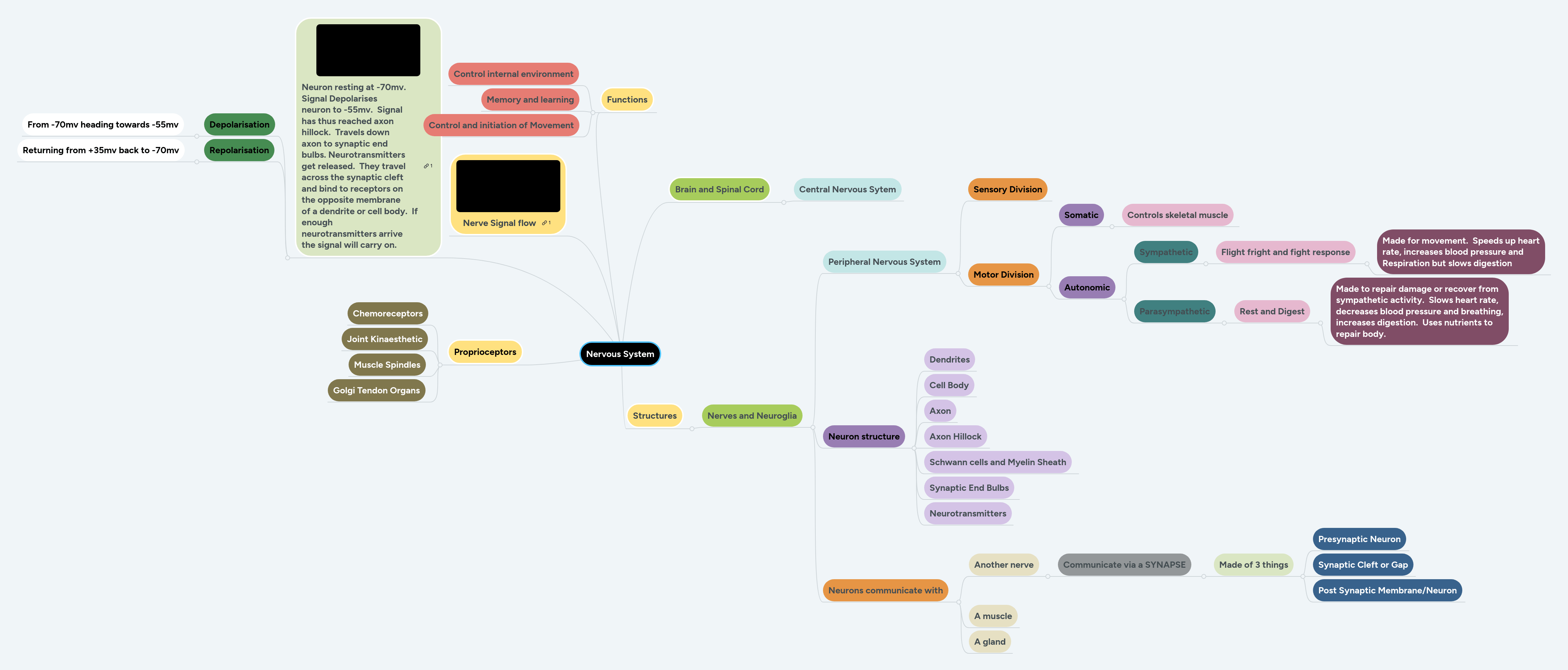 Nervous System Mind Map Imindq - Amazing Landscape Image - HD