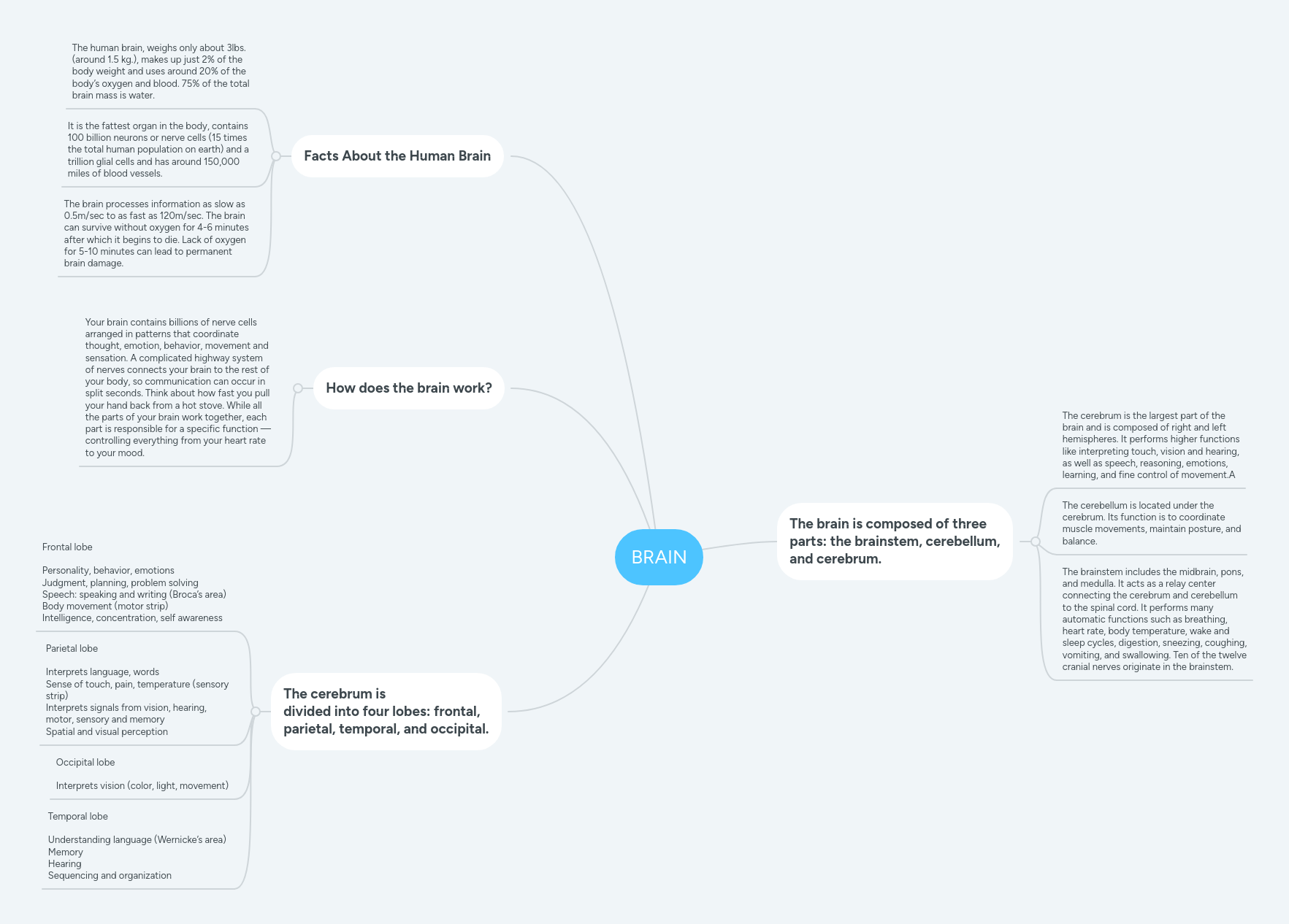 Brain Mindmeister Mind Map