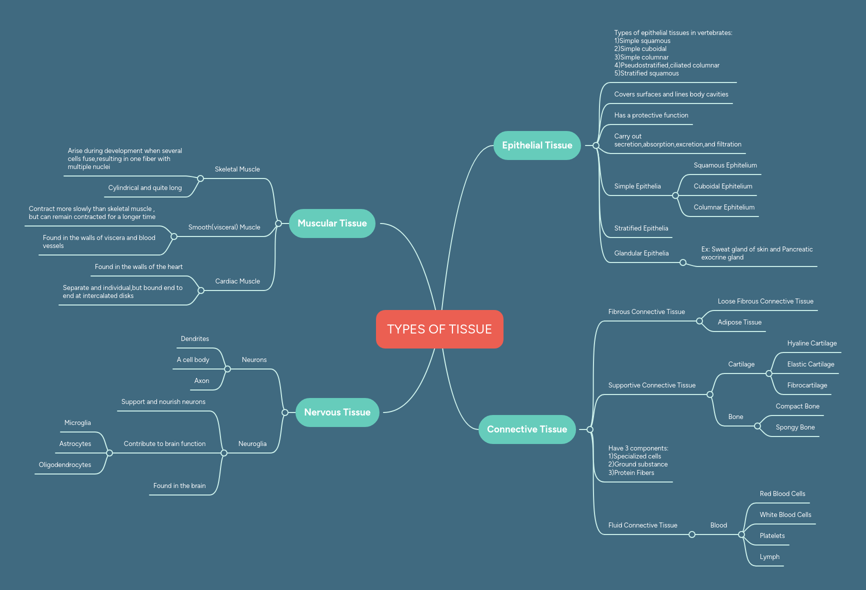 Tissue Basics Mindmeister Mind Map - Premium Dark Picture Gallery - 8K