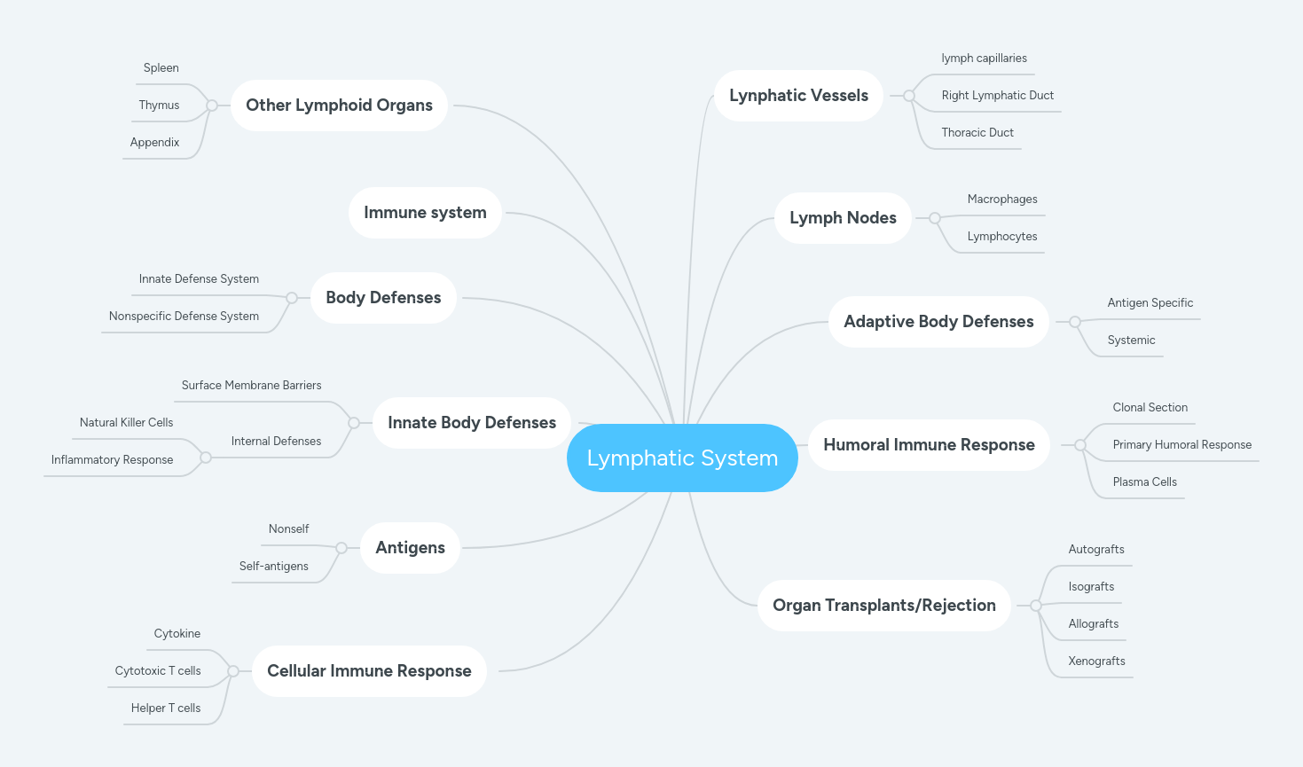 Lymphatic System Mindmeister Mind Map