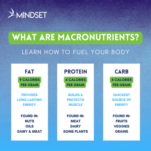 Macronutrients