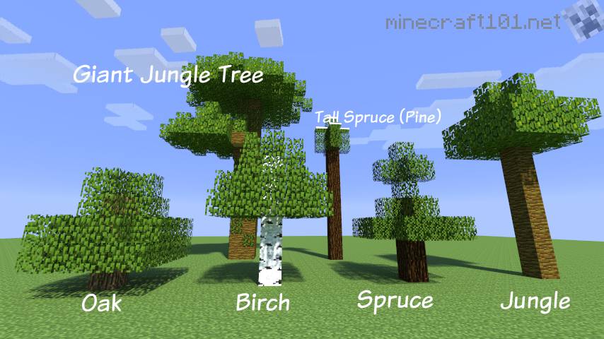Farming Trees Minecraft 101