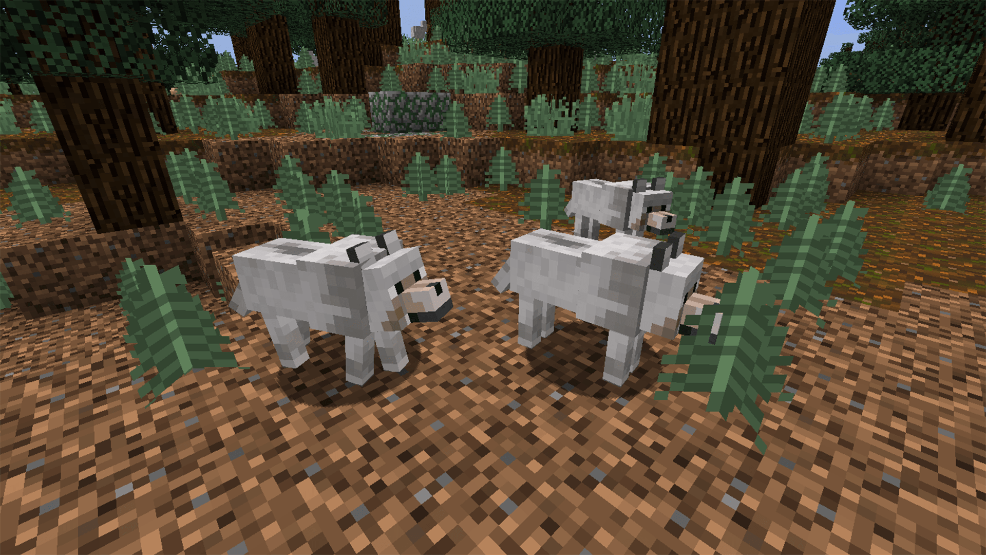 pics Good Minecraft Wolf Names sophisticated wolves 1 12 2