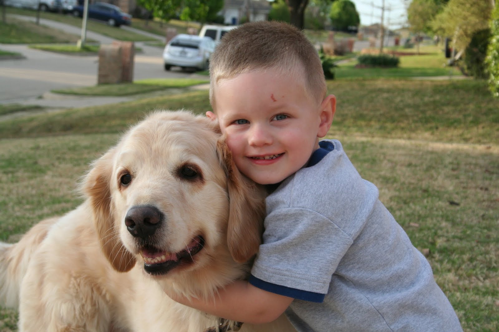 Kucuk Kopek Cinsleri Turleri Ve Irk Ozellikleri