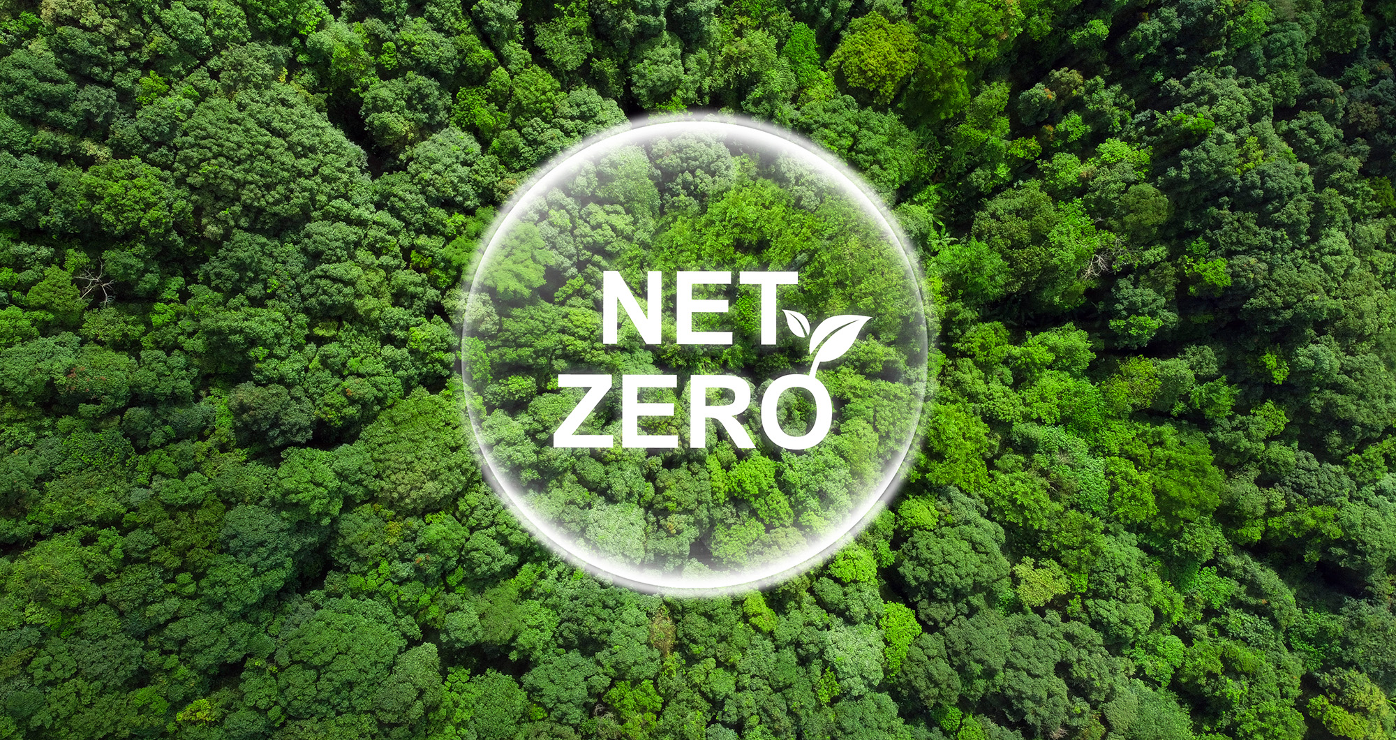 Net zero