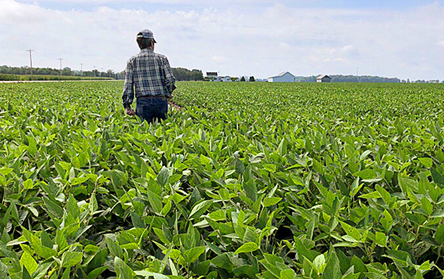 minnpost.com - Liz Fedor - What's driving the financial crisis on Minnesota farms?