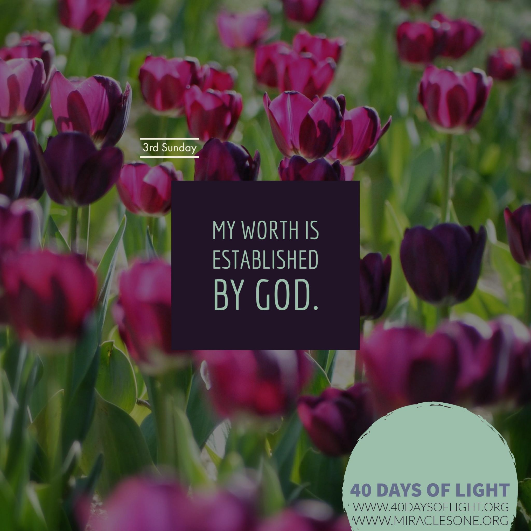 Read more about the article 40 Days of Light – 3rd Sunday