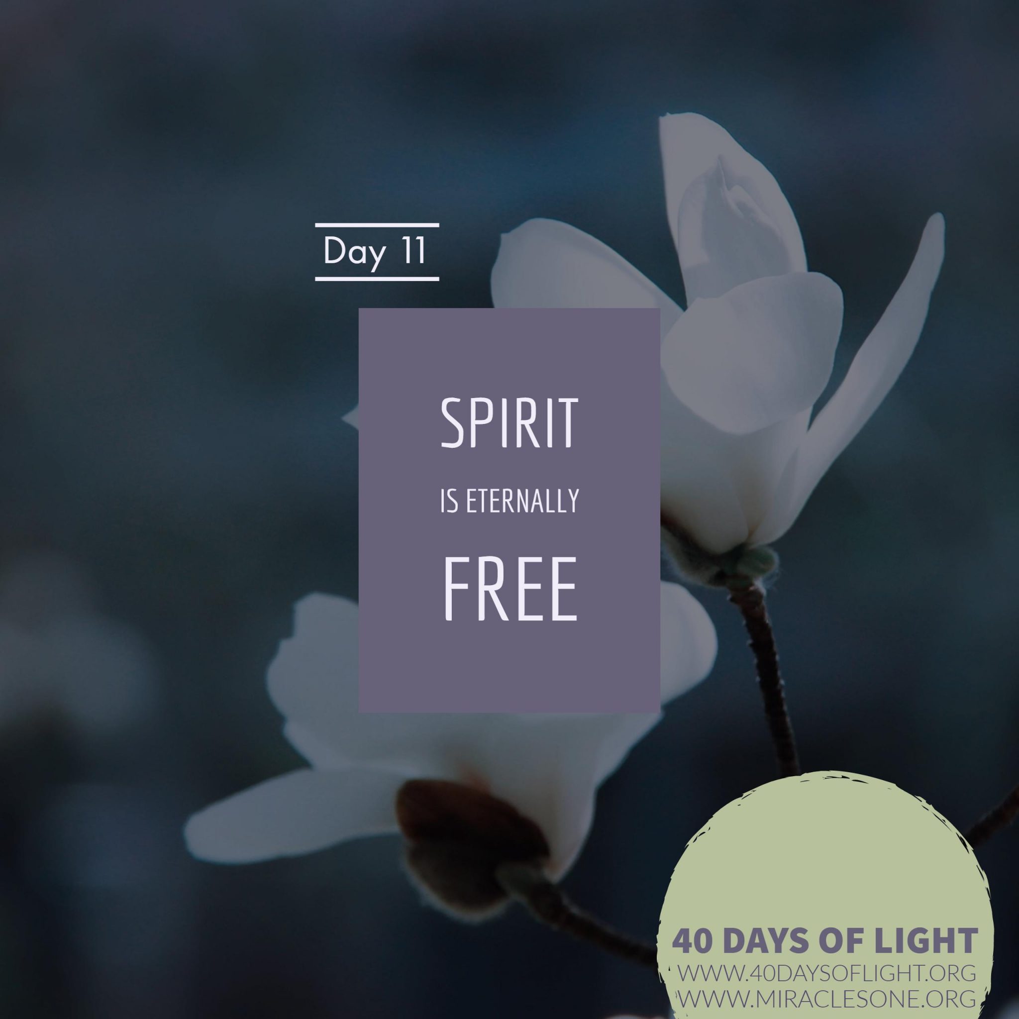 Read more about the article 40 Days of Light – Day 11