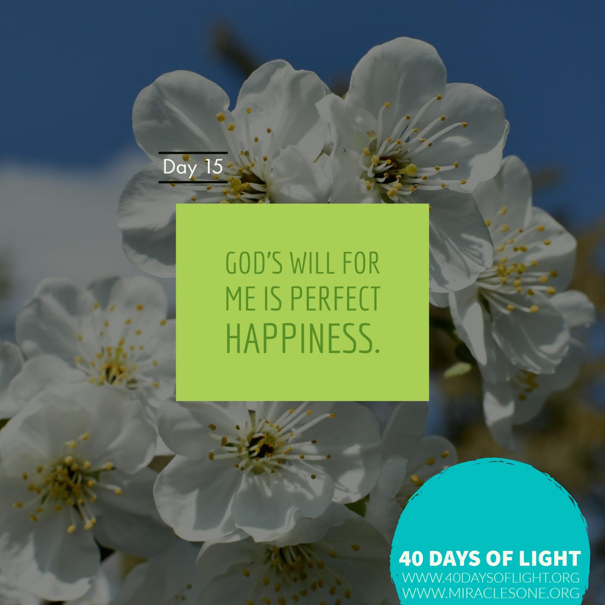 Read more about the article 40 Days of Light – Day 15