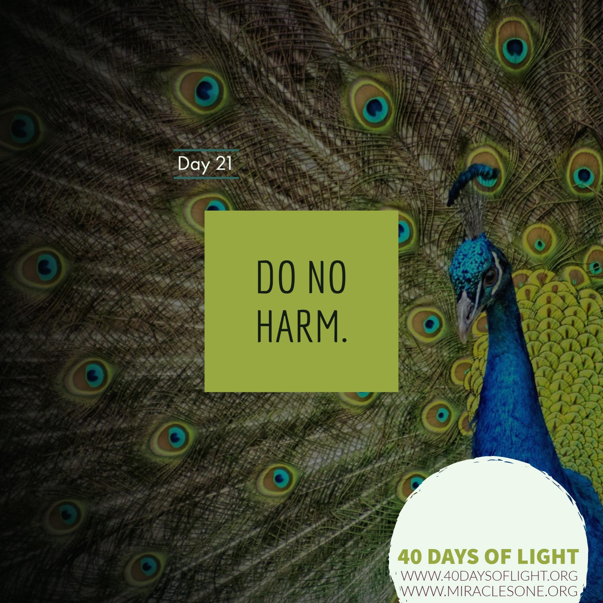 Read more about the article 40 Days of Light – Day 21
