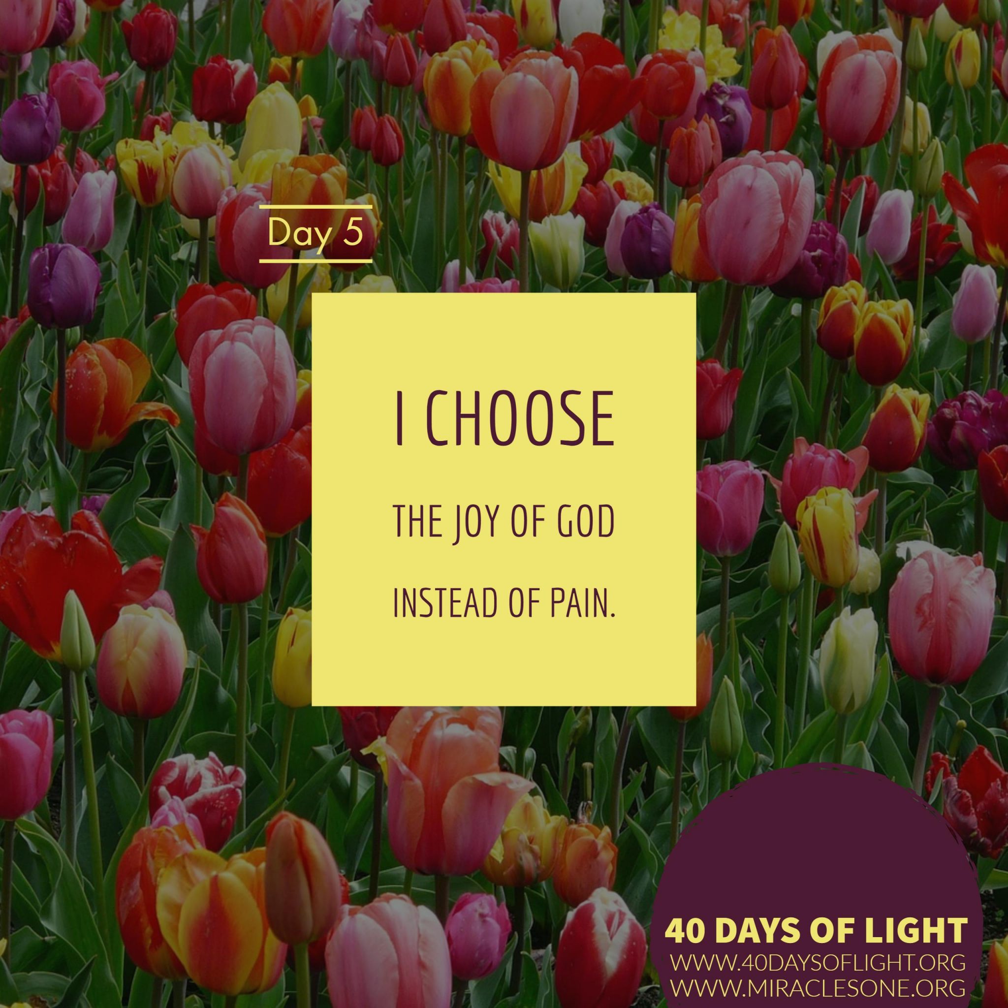 Read more about the article Choose the Joy of God Instead of Pain