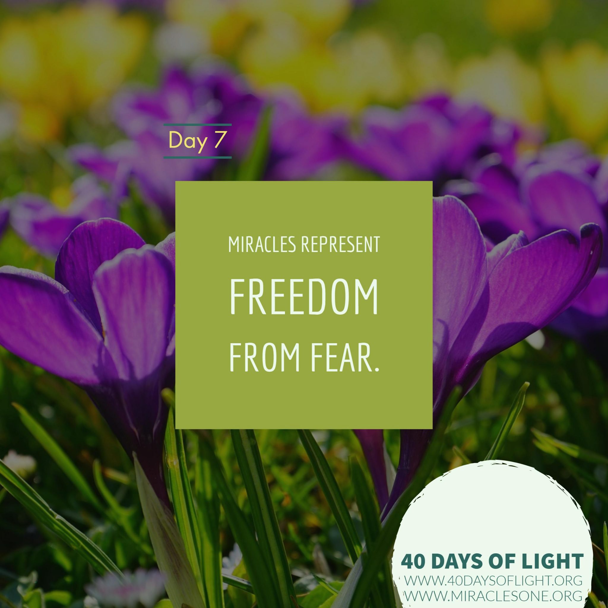 Read more about the article 40 Days of Light – Day 7