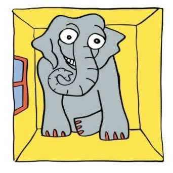 The Elephant in the Room