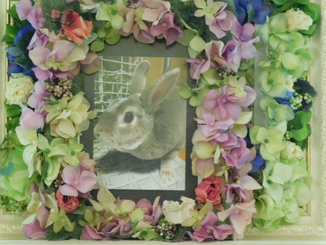 水戸市愛兎もにちゃん｜ペット霊園・葬祭・火葬 茨城県水戸市 水戸ペットセレモニー