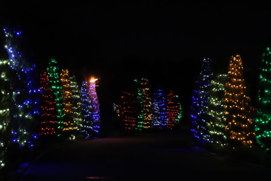 フェスタ・ルーチェinえひめこどもの城