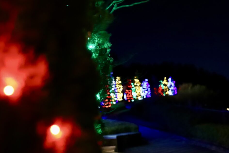 フェスタ・ルーチェinえひめこどもの城