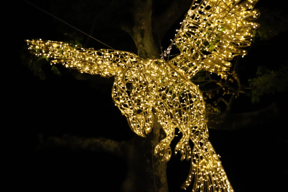 フェスタ・ルーチェinえひめこどもの城