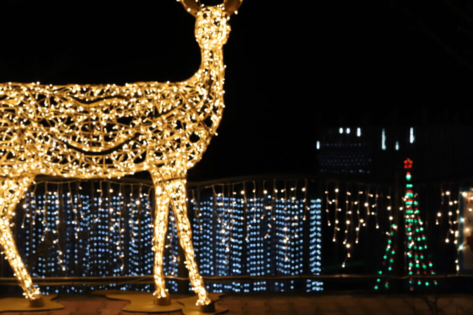 フェスタ・ルーチェinえひめこどもの城