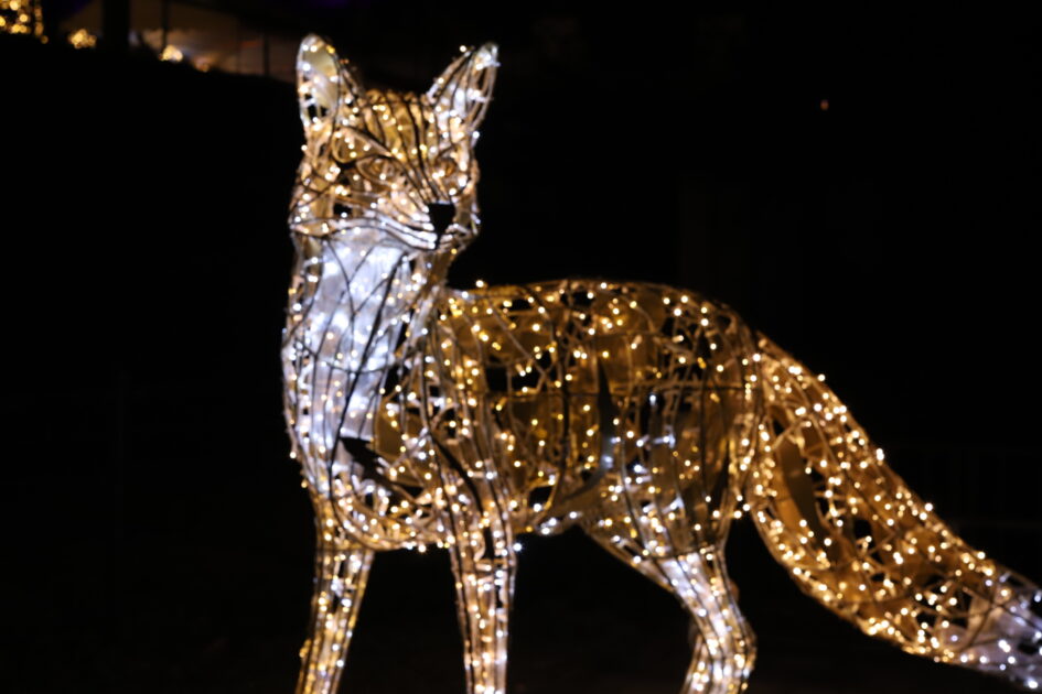 フェスタ・ルーチェinえひめこどもの城