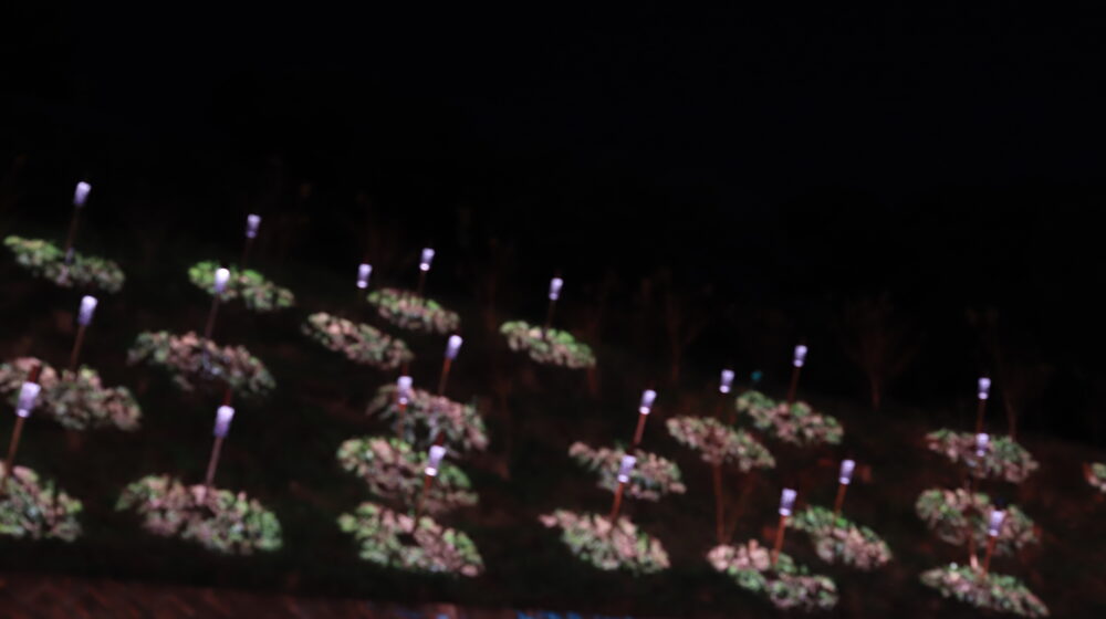 フェスタ・ルーチェinえひめこどもの城