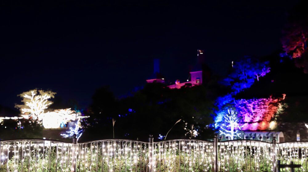 フェスタ・ルーチェinえひめこどもの城