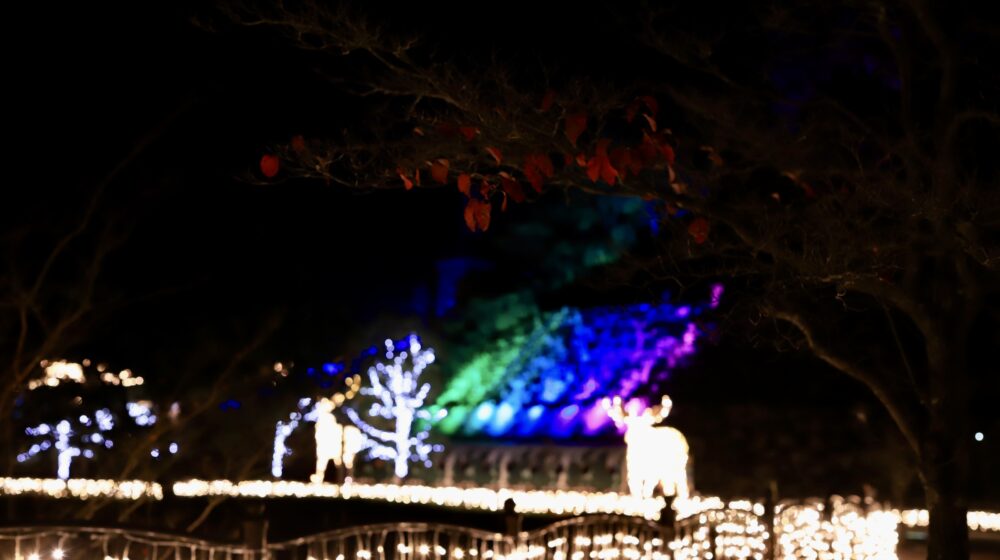 フェスタ・ルーチェinえひめこどもの城