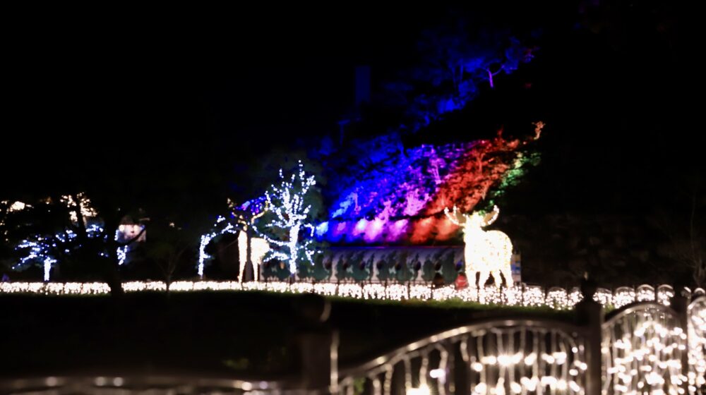 フェスタ・ルーチェinえひめこどもの城