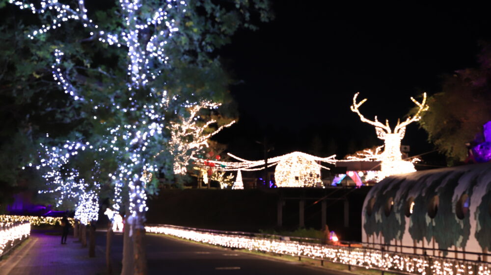 フェスタ・ルーチェinえひめこどもの城