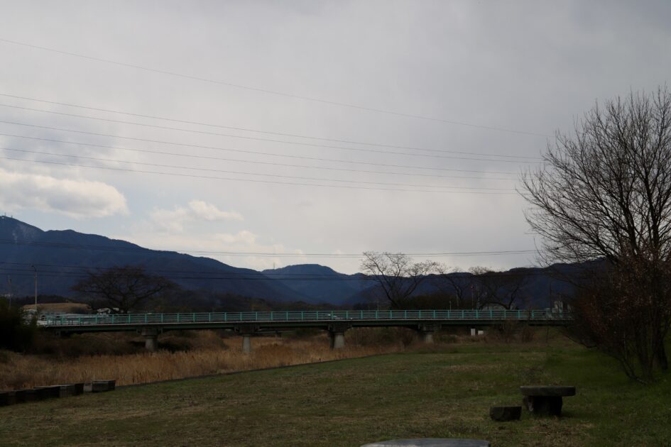 大野原丸井の河津桜