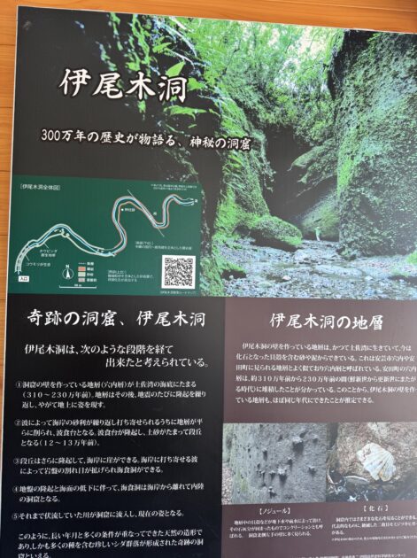 「伊尾木洞 300万年の歴史が物語る神秘の洞窟」と書かれた案内板。洞窟の成り立ちや地層、生息する生物について詳しく解説されている。