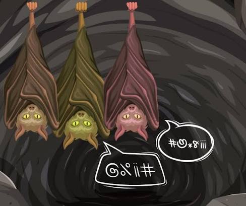 bats arguing