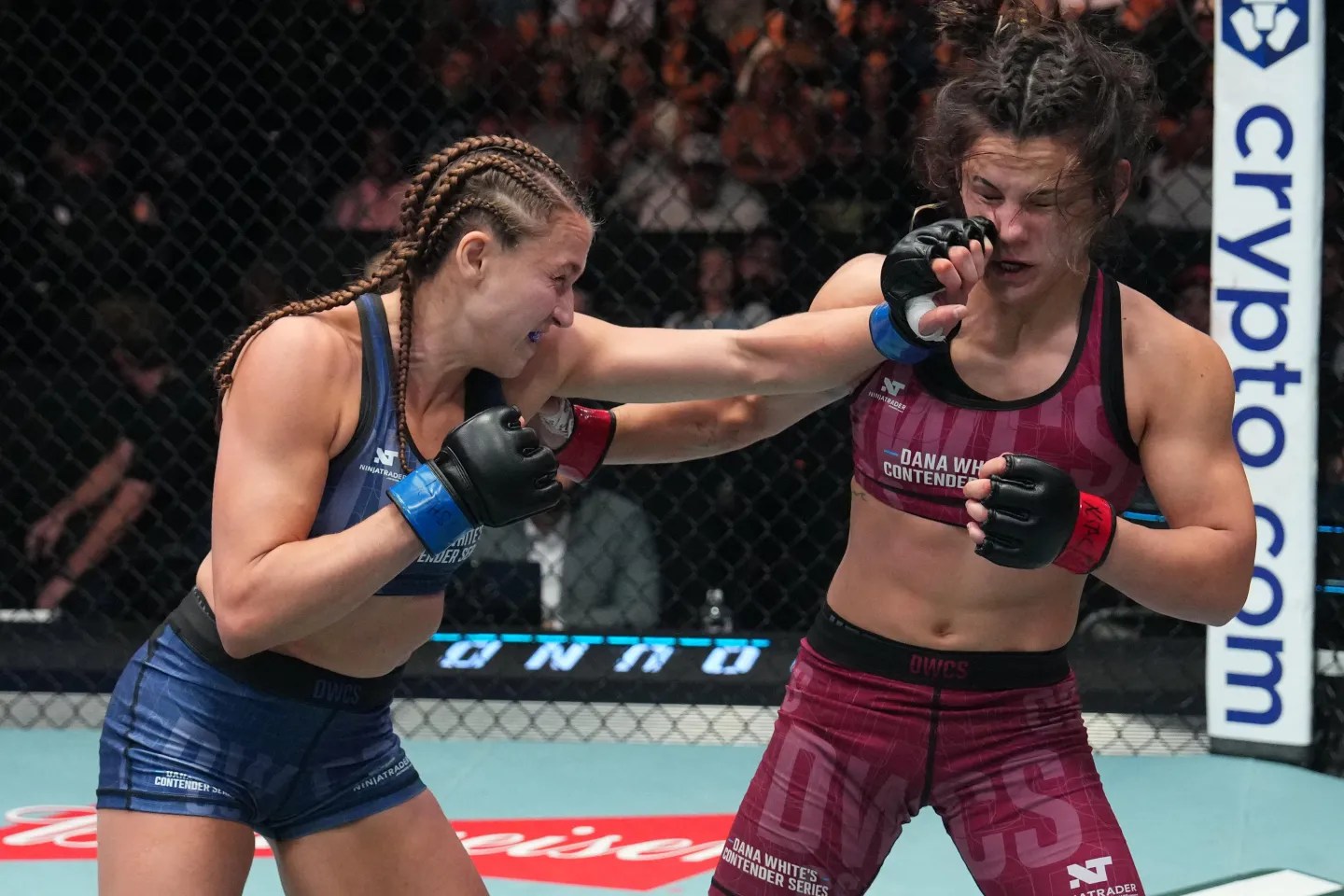Dana White lamenta la derrota de Bella Mir en el Contender Series: “Había planeado su futuro”