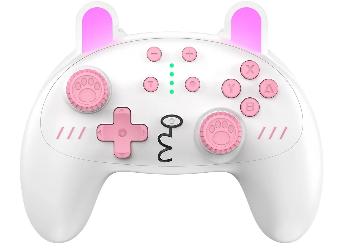 Cute Bunny Switch Controller