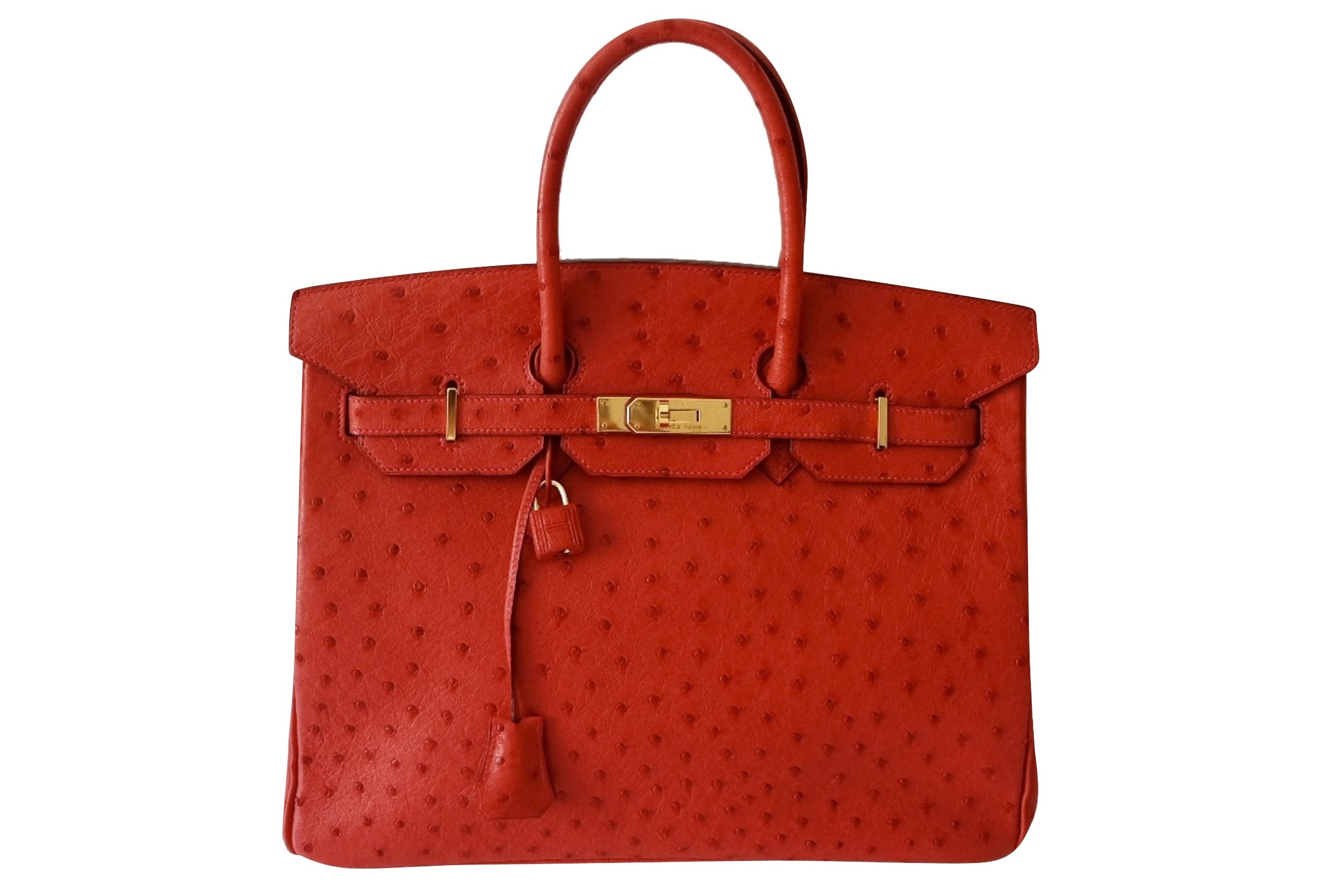Hermesexperts an exclusive Hermès authentication service modelonamission