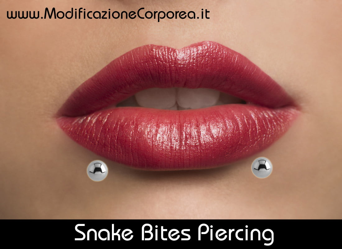In tempi più recenti si parla invece di face reading. Tipi Piercing Labbro Foto Immagini E Nomi
