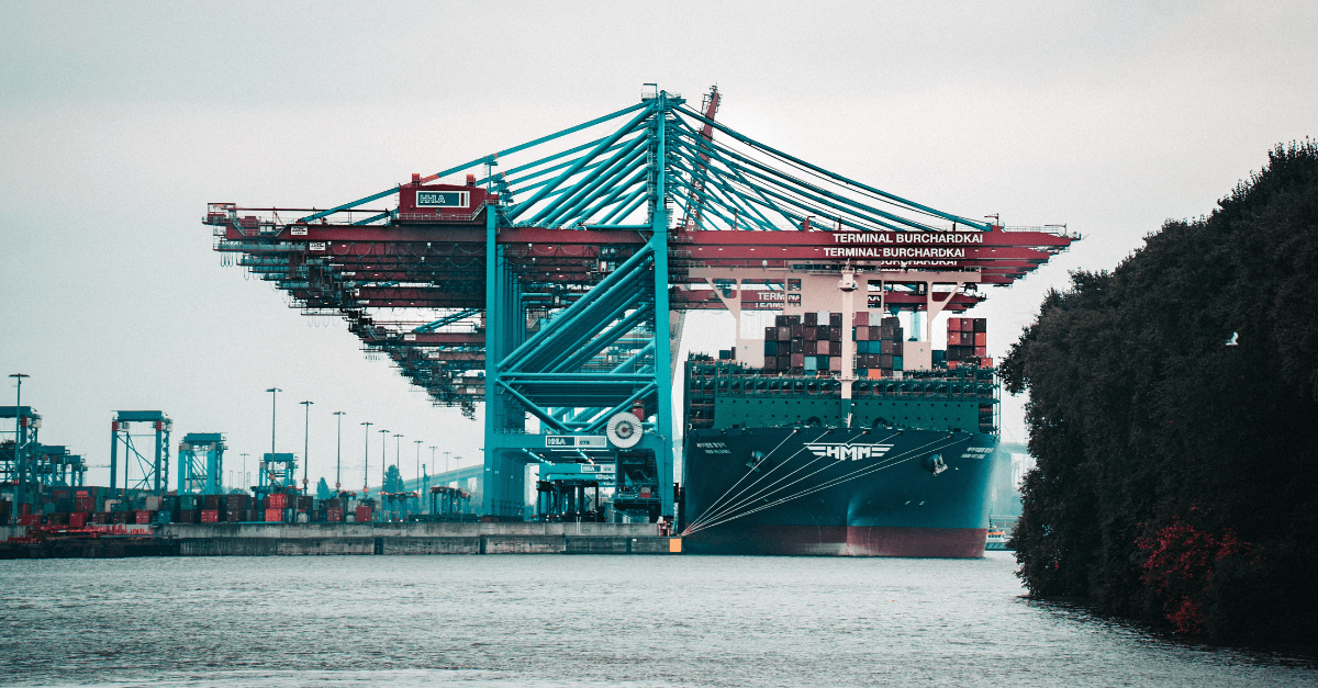 Learning Center Modus Advanced - Classic Ocean Illustration - Ultra HD