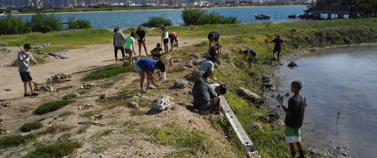 Get involved on Mokauea Island