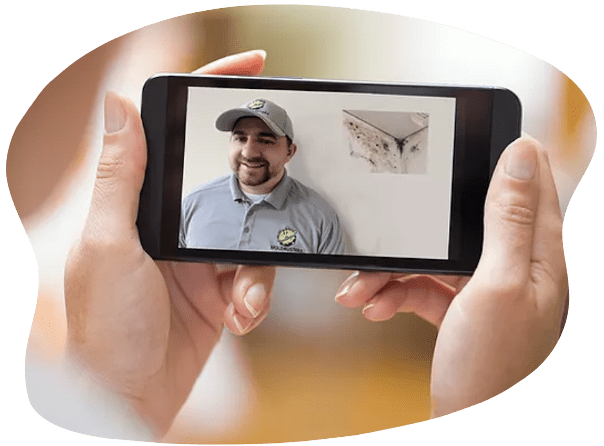 Both the epa and experts like moldman suggest that a mold inspection is unnecessary if you can see mold. Mold Inspection Mold Busters Greenville