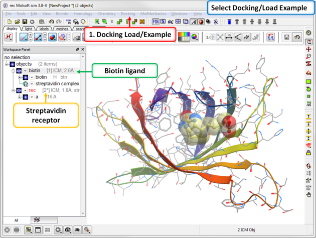 Icm User S Guide Ligand Docking Tutorials - Ocean Picture Collection - 4K Quality