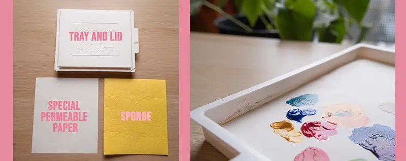 An image illustrating the components that make up a wet palette, including the tray, the sponge, and the special permeable paper or Hydration Paper.