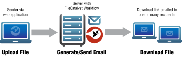 FileCatalyst si affida a VideoSignal