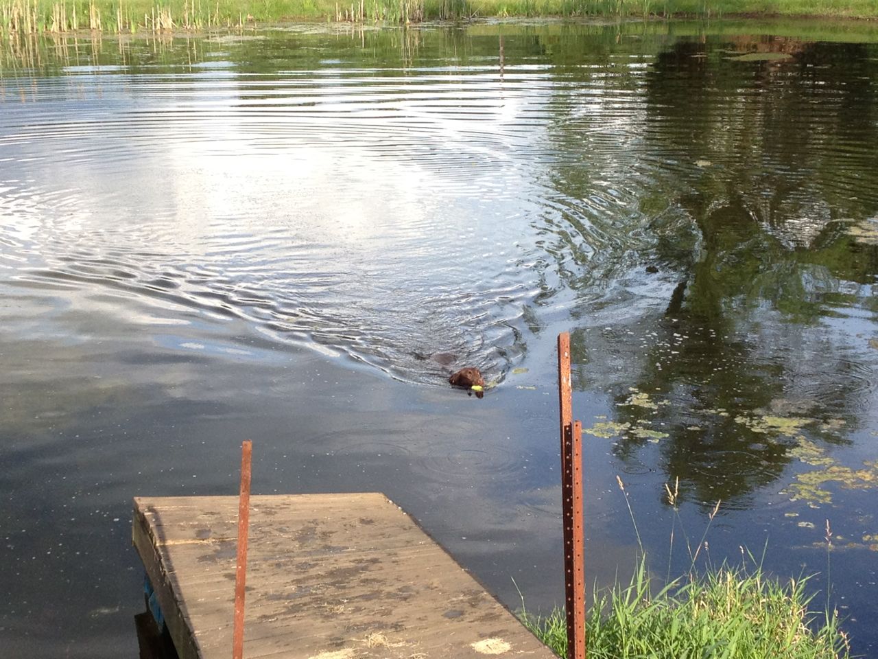 Stillwaters Run Deep | Moose Knuckle Fly Fishing