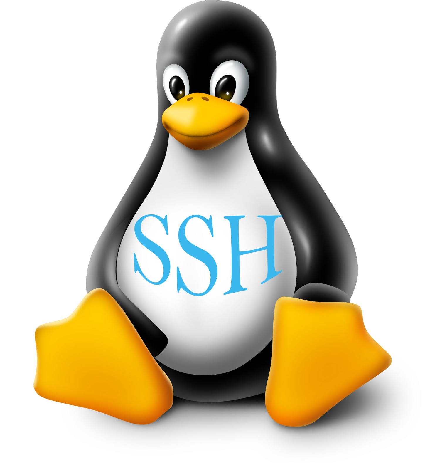 tux linux ssh
