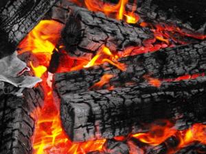 Firewood In Nigerian Kitchens