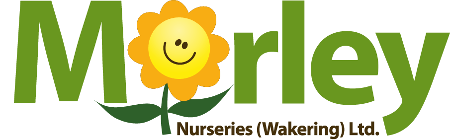 Morley Nurseries