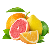 Ph Testing Procedures Morter Healthsystem - Stunning Full HD Vintage Designs | Free Download