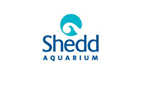 Shedd Oceanarium Logo