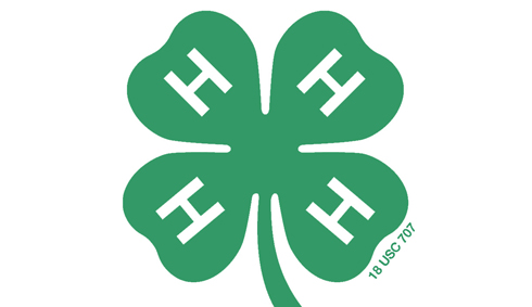 4H Logo