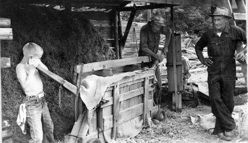 People using old sphagnum moss press